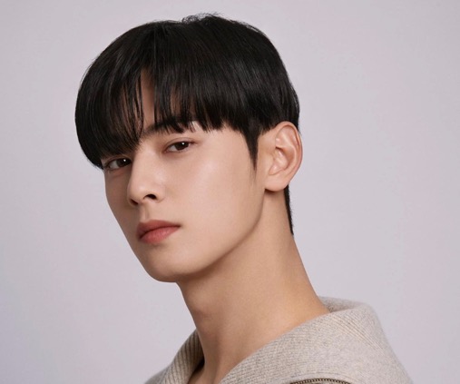ทรงจมูกเกาหลีชาย